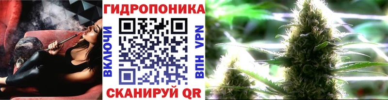площадка состав  MEGA зеркало  Снежногорск  Бошки марихуана конопля 